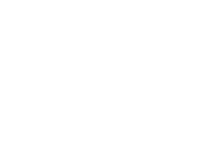 SILKY JET